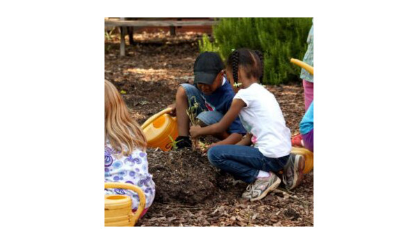 Gardening